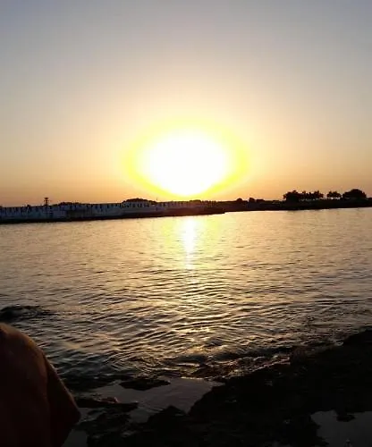 That's * Brindisi